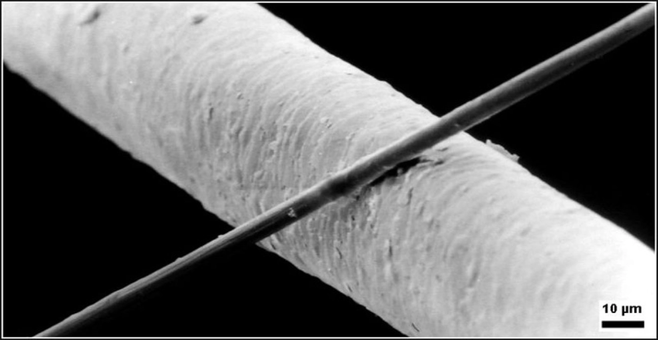 Pourquoi choisir un arc en carbone ?